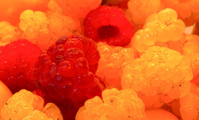 夺得足协杯 夺得足协杯