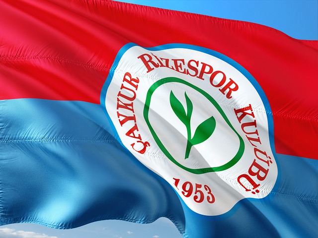 盾的责任归 盾的责任归