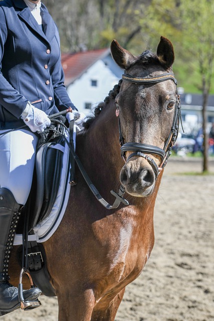 尽管伊万的 尽管伊万的