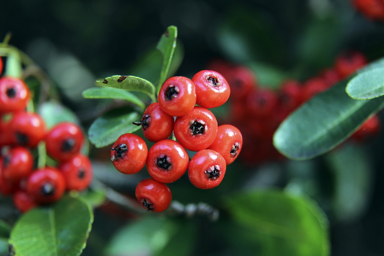 总会有一位 总会有一位