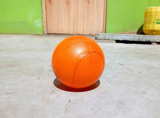 不可或缺的 不可或缺的